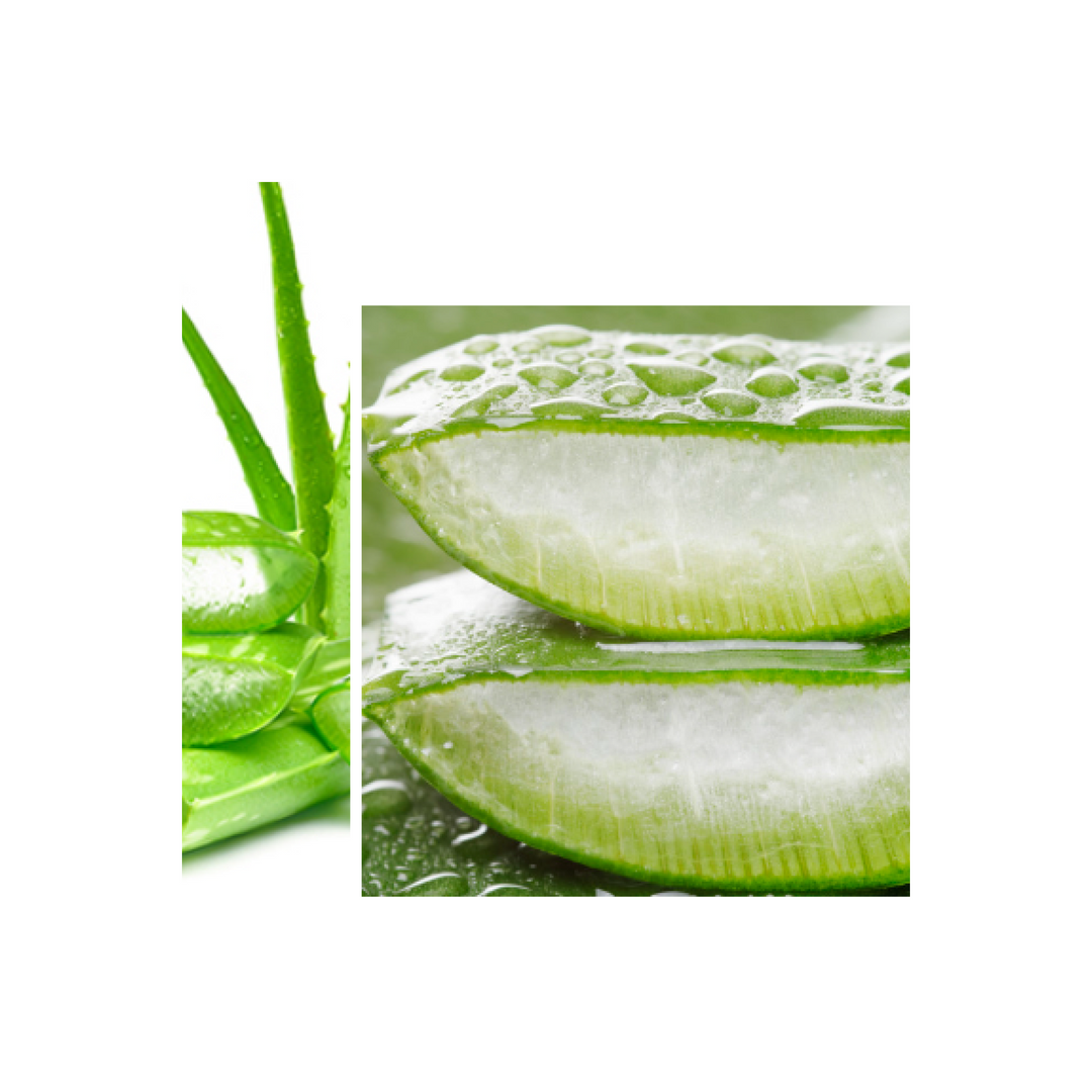 Gel d'Aloe Vera