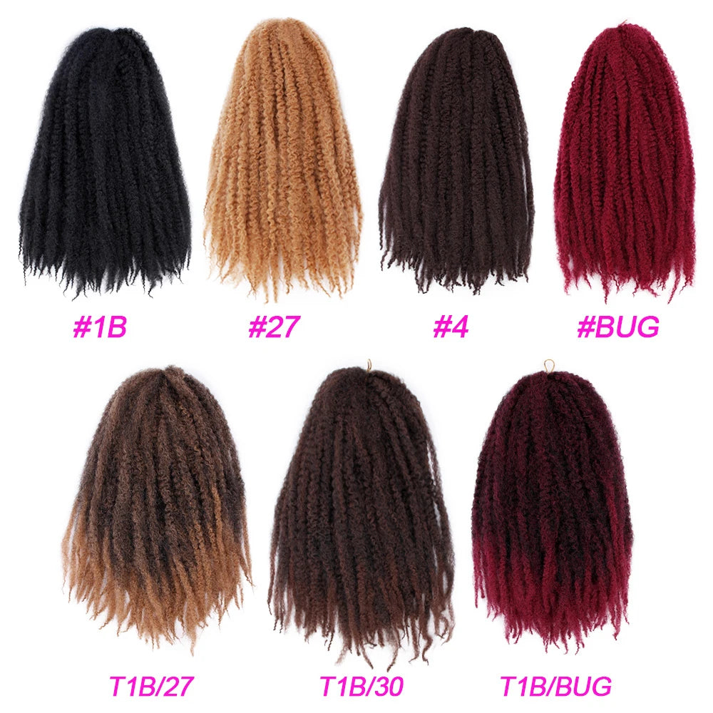 Extensions de cheveux Afro Kinky pour crochet braids - Kanekalon synthétique